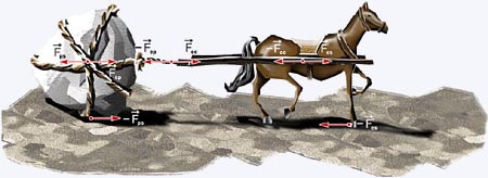 Um cavalo pulando corda. O que significa? Será que estamos