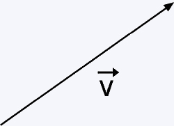 vetor